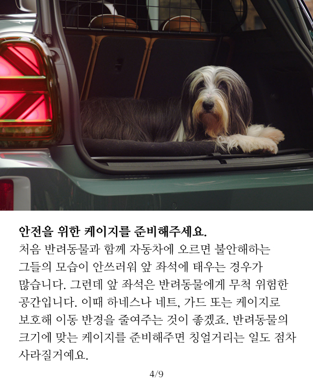 슬라이드 이미지