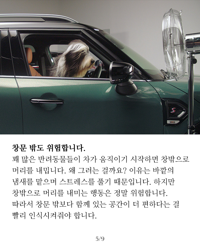 슬라이드 이미지