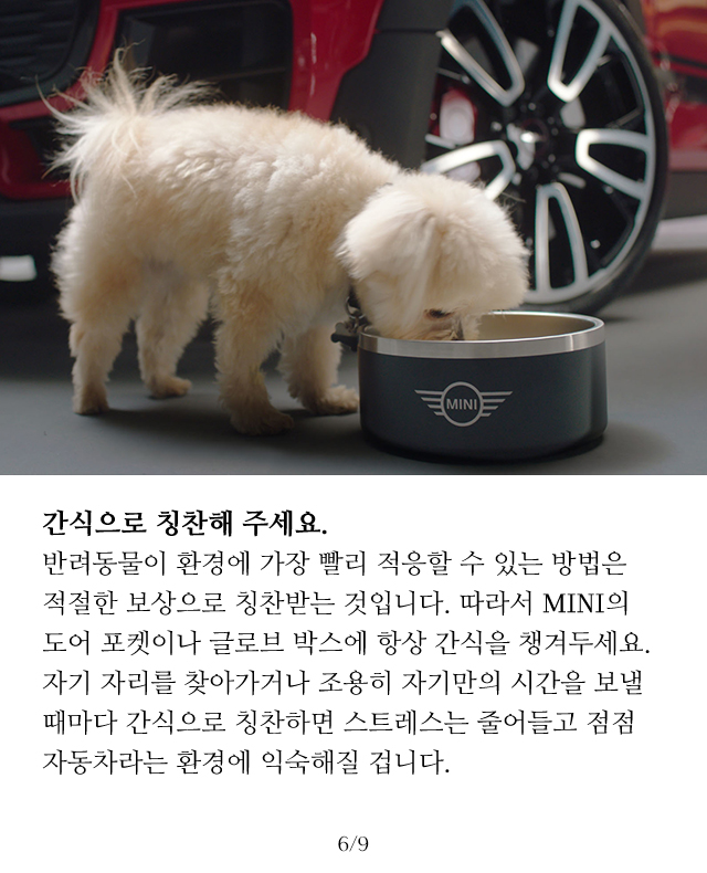 슬라이드 이미지