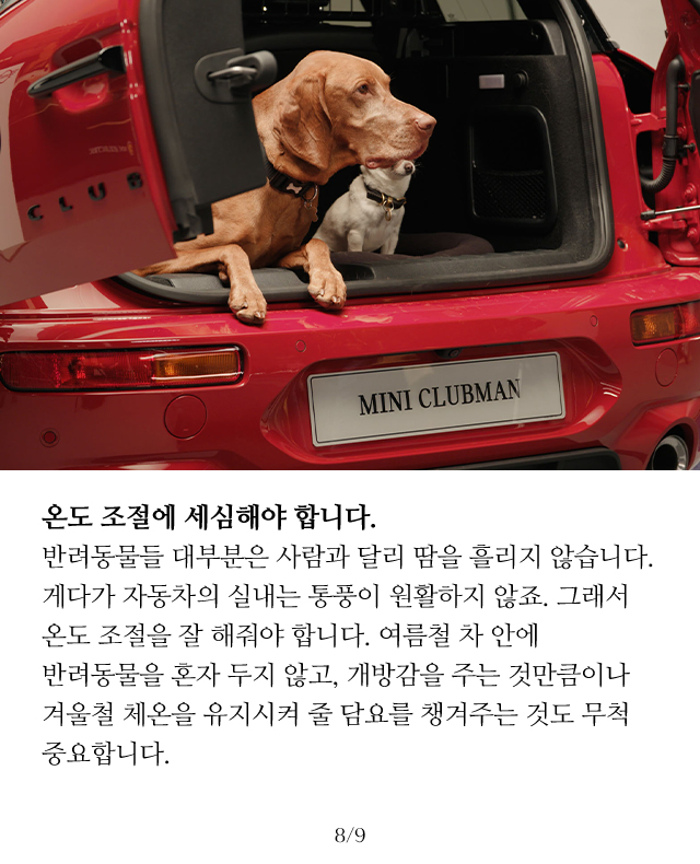 슬라이드 이미지