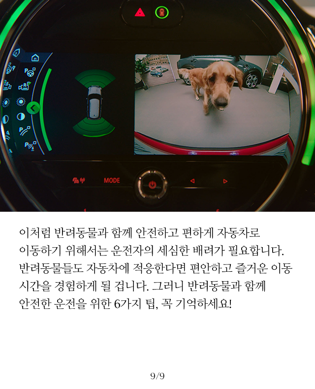 슬라이드 이미지